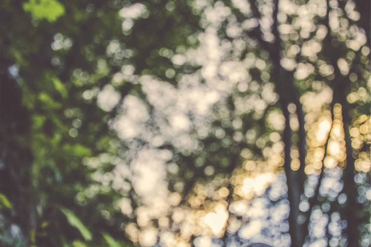 Modi occaecati delectus